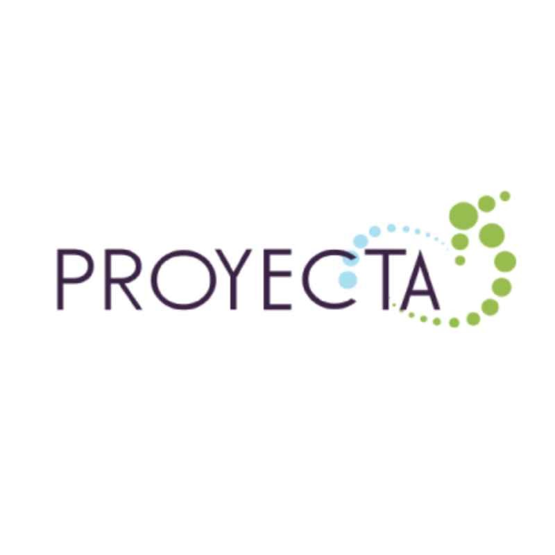 Proyecta Servicios Informáticos